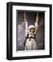 The Reluctant Astronaut-null-Framed Photo