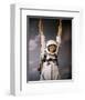 The Reluctant Astronaut-null-Framed Photo