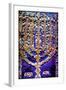 The Rema Torah Ark, 2015-Joy Lions-Framed Giclee Print