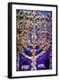 The Rema Torah Ark, 2015-Joy Lions-Framed Giclee Print