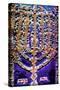 The Rema Torah Ark, 2015-Joy Lions-Stretched Canvas