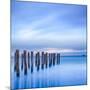 The Remains of an Old Jetty on the Beach Near Dunedin, New Zealand, Just before Dawn, Square-Travellinglight-Mounted Photographic Print