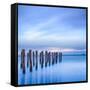 The Remains of an Old Jetty on the Beach Near Dunedin, New Zealand, Just before Dawn, Square-Travellinglight-Framed Stretched Canvas