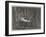 The Remains of His Highness the Prince De Schinas Lying in State, at Spa-null-Framed Giclee Print