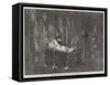 The Remains of His Highness the Prince De Schinas Lying in State, at Spa-null-Framed Stretched Canvas