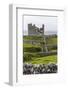 The Remains of the Abandoned Castle O'Brien on Inisheer-Michael Nolan-Framed Photographic Print