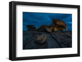 The Remarkables, Cape du Couedic, Flinders Chase National Park, Kangaroo Island, South Australia-Mark A Johnson-Framed Photographic Print