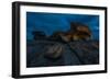 The Remarkables, Cape du Couedic, Flinders Chase National Park, Kangaroo Island, South Australia-Mark A Johnson-Framed Photographic Print