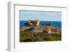 The Remarkables, Cape du Couedic, Flinders Chase National Park, Kangaroo Island, South Australia-Mark A Johnson-Framed Photographic Print