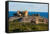 The Remarkables, Cape du Couedic, Flinders Chase National Park, Kangaroo Island, South Australia-Mark A Johnson-Framed Stretched Canvas