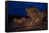 The Remarkables, Kangaroo Island, South Australia-Mark A Johnson-Framed Stretched Canvas