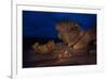 The Remarkables, Kangaroo Island, South Australia-Mark A Johnson-Framed Photographic Print