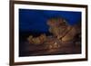 The Remarkables, Kangaroo Island, South Australia-Mark A Johnson-Framed Photographic Print