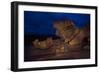 The Remarkables, Kangaroo Island, South Australia-Mark A Johnson-Framed Photographic Print