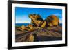 The Remarkables, Kangaroo Island, South Australia-Mark A Johnson-Framed Photographic Print