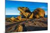 The Remarkables, Kangaroo Island, South Australia-Mark A Johnson-Mounted Photographic Print