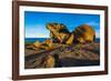 The Remarkables, Kangaroo Island, South Australia-Mark A Johnson-Framed Photographic Print