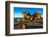 The Remarkables, Kangaroo Island, South Australia-Mark A Johnson-Framed Photographic Print