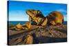 The Remarkables, Kangaroo Island, South Australia-Mark A Johnson-Stretched Canvas