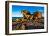 The Remarkables, Kangaroo Island, South Australia-Mark A Johnson-Framed Photographic Print