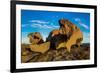 The Remarkables, Kangaroo Island, South Australia-Mark A Johnson-Framed Photographic Print