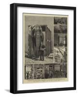 The Removal of Jumbo, I, on the Way to the Docks-Alfred Chantrey Corbould-Framed Giclee Print