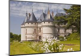 The Renaissance Chateau at Chaumont-Sur-Loire-Julian Elliott-Mounted Photographic Print