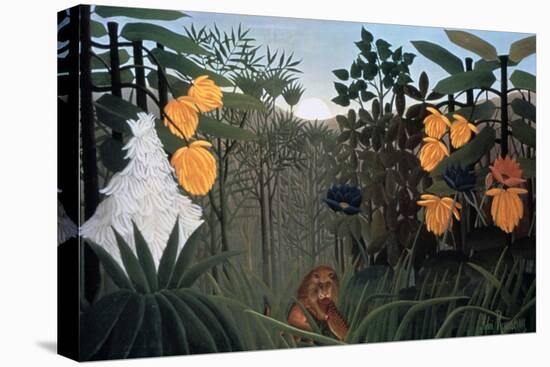 The Repast of the Lion, C1907-Henri Rousseau-Stretched Canvas