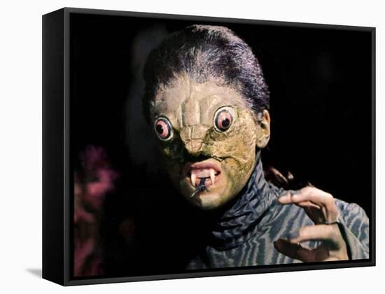 The Reptile-null-Framed Stretched Canvas