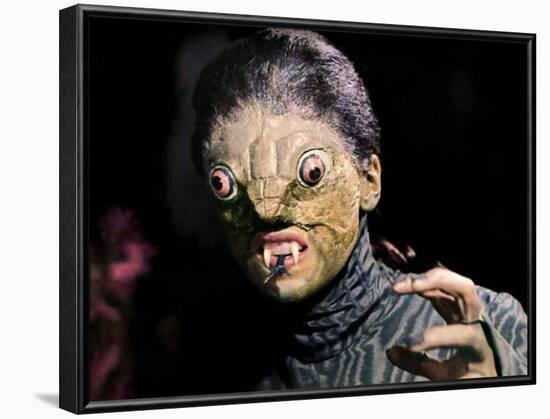 The Reptile-null-Framed Photo