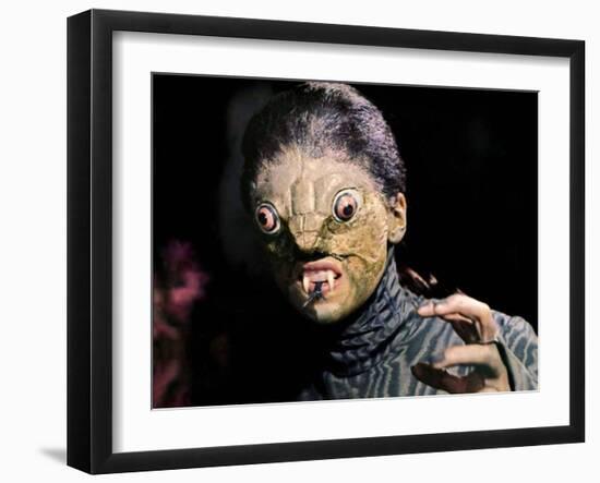 The Reptile-null-Framed Photo