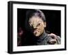 The Reptile-null-Framed Photo