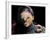 The Reptile-null-Framed Photo