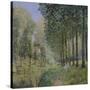 The Rest by the Stream. Edge of the Wood, 1872-Alfred Sisley-Stretched Canvas