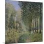 The Rest by the Stream. Edge of the Wood, 1872-Alfred Sisley-Mounted Giclee Print
