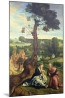 The Rest on the Flight into Egypt, C.1534-40 (Panel)-Pieter Coecke van Aelst-Mounted Giclee Print