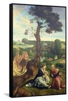 The Rest on the Flight into Egypt, C.1534-40 (Panel)-Pieter Coecke van Aelst-Framed Stretched Canvas