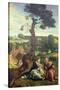 The Rest on the Flight into Egypt, C.1534-40 (Panel)-Pieter Coecke van Aelst-Stretched Canvas