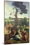 The Rest on the Flight into Egypt, C.1534-40 (Panel)-Pieter Coecke van Aelst-Mounted Giclee Print