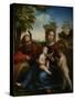 The Rest on the Flight into Egypt with St. John the Baptist, c.1509-Fra Bartolommeo-Stretched Canvas