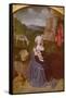 The Rest on the Flight into Egypt-Gerard David-Framed Stretched Canvas