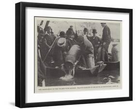 The Restocking of the Thames with Salmon, Placing Samlets in the River at Teddington, 23 April-null-Framed Giclee Print