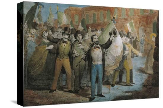 Stretched Canvas Print, , large