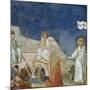 The Resurrection of Christ, Detail from Life and Passion of Christ-Giotto di Bondone-Mounted Giclee Print