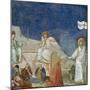The Resurrection of Christ, Detail from Life and Passion of Christ-Giotto di Bondone-Mounted Giclee Print
