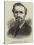 The Reverend George a Shaw, Late Missionary at Tamatave, Madagascar-null-Stretched Canvas