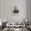 The Reverend George a Shaw, Late Missionary at Tamatave, Madagascar-null-Giclee Print displayed on a wall