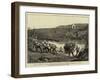 The Revolt in the Transvaal, British Troops Crossing a River-Charles Edwin Fripp-Framed Giclee Print