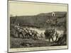 The Revolt in the Transvaal, British Troops Crossing a River-Charles Edwin Fripp-Mounted Giclee Print