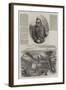 The Revolution in Sicily-Thomas Nast-Framed Giclee Print